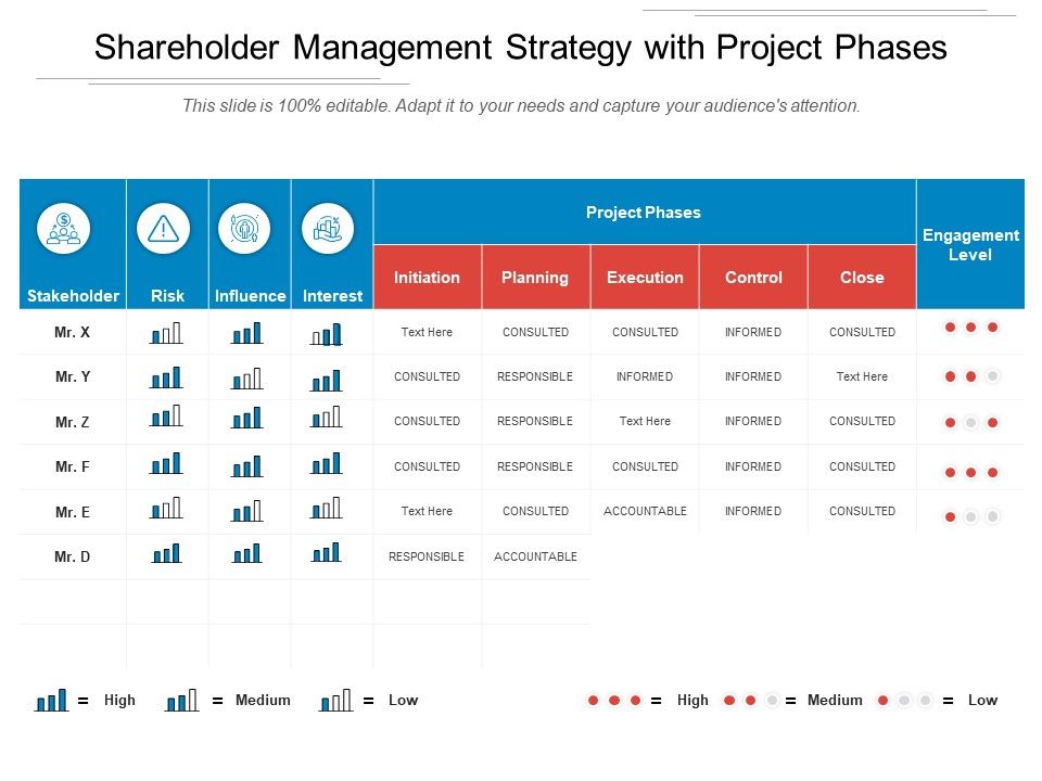 Shareholder_Management_Strategy_With_Project_Phases_Ppt_PowerPoint_Presentation_File_Microsoft_PDF_Slide_1.jpg
