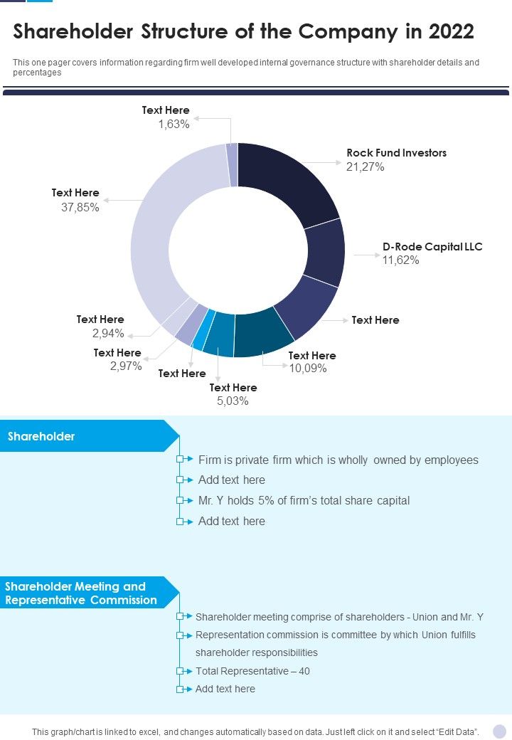 Shareholder_Structure_Of_The_Company_In_2022_Template_201_One_Pager_Documents_Slide_1.jpg