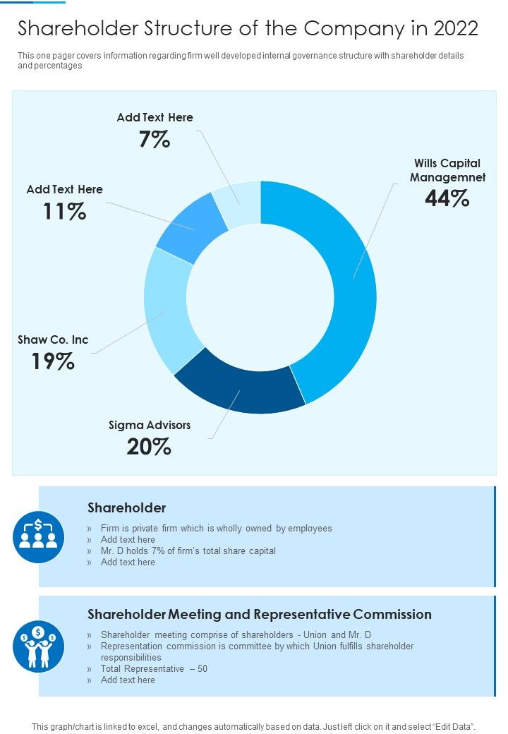 Shareholder_Structure_Of_The_Company_In_2022_Template_313_One_Pager_Documents_Slide_1.jpg