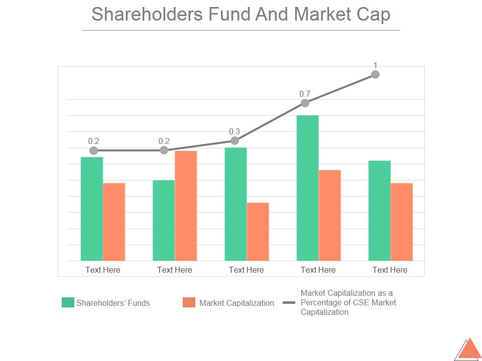 Shareholders_Fund_And_Market_Cap_Ppt_PowerPoint_Presentation_Guidelines_Slide_1.jpg