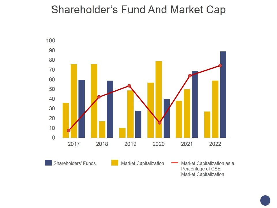 Shareholders_Fund_And_Market_Cap_Ppt_PowerPoint_Presentation_Show_Background_Image_Slide_1.jpg