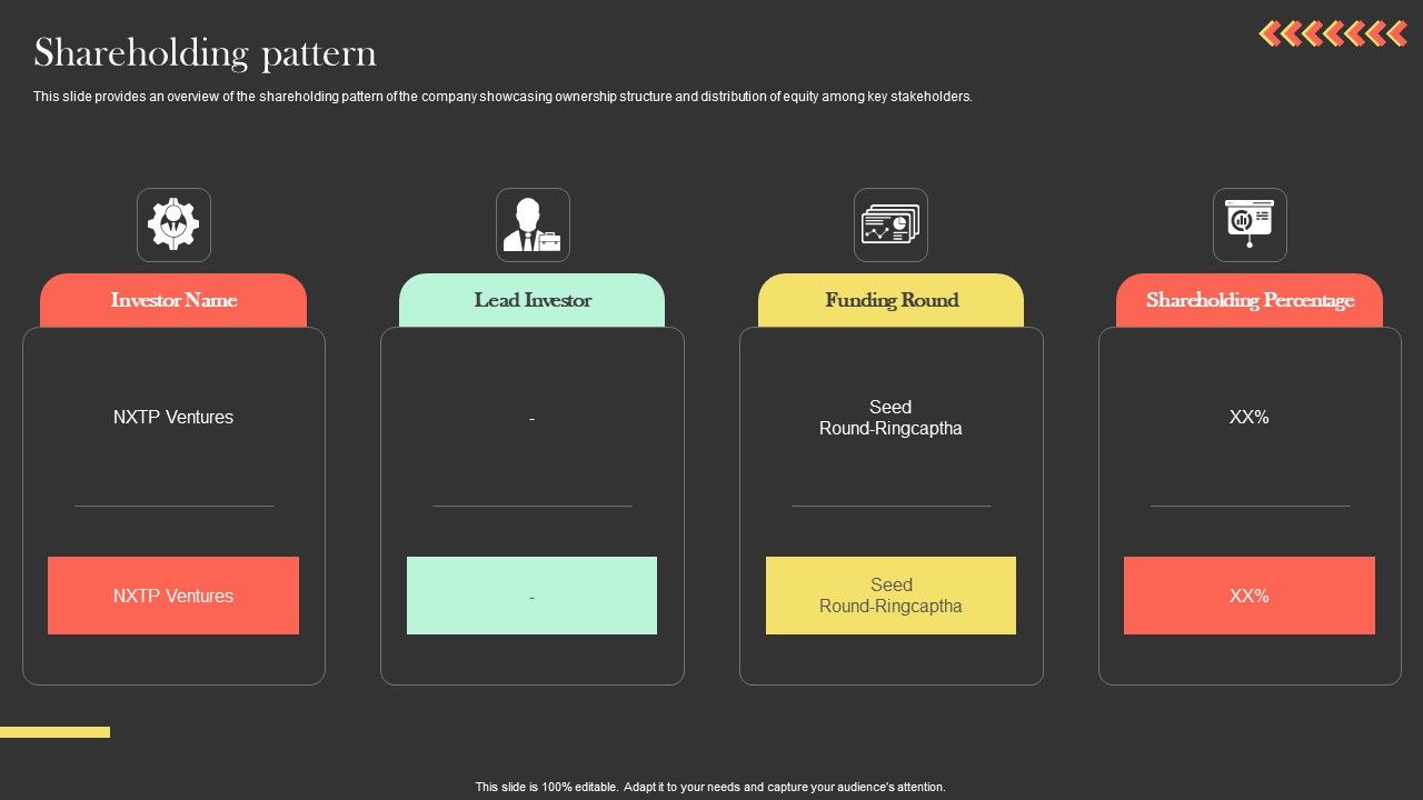 Shareholding_Pattern_Ringcaptcha_Capital_Funding_Pitch_Deck_Summary_PDF_Slide_1.jpg