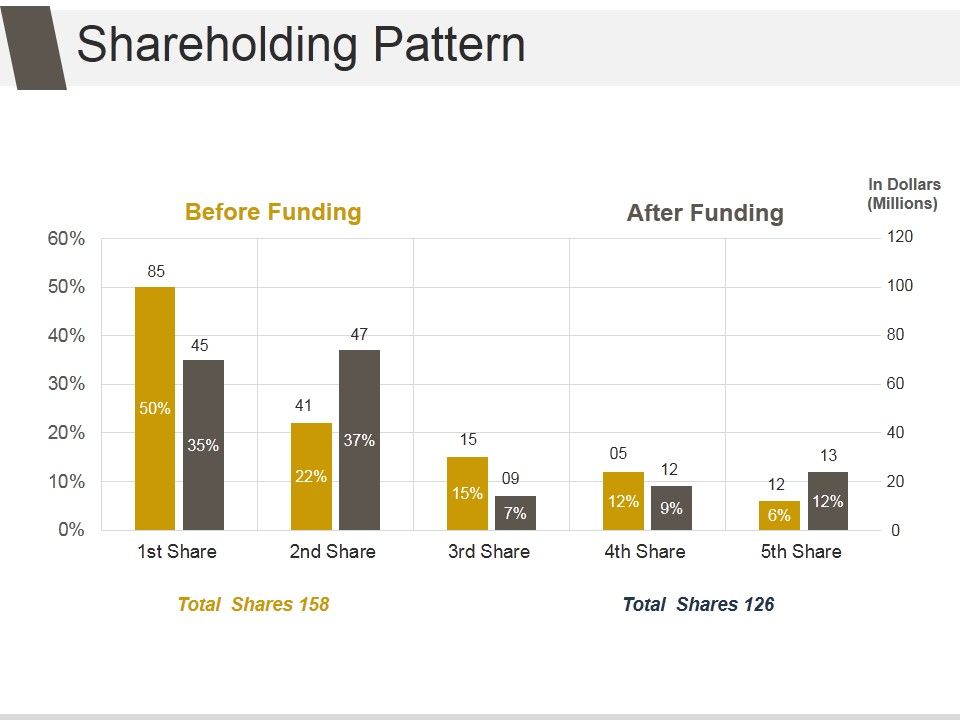 Shareholding_Pattern_Template_2_Ppt_PowerPoint_Presentation_Slides_Slide_1.jpg
