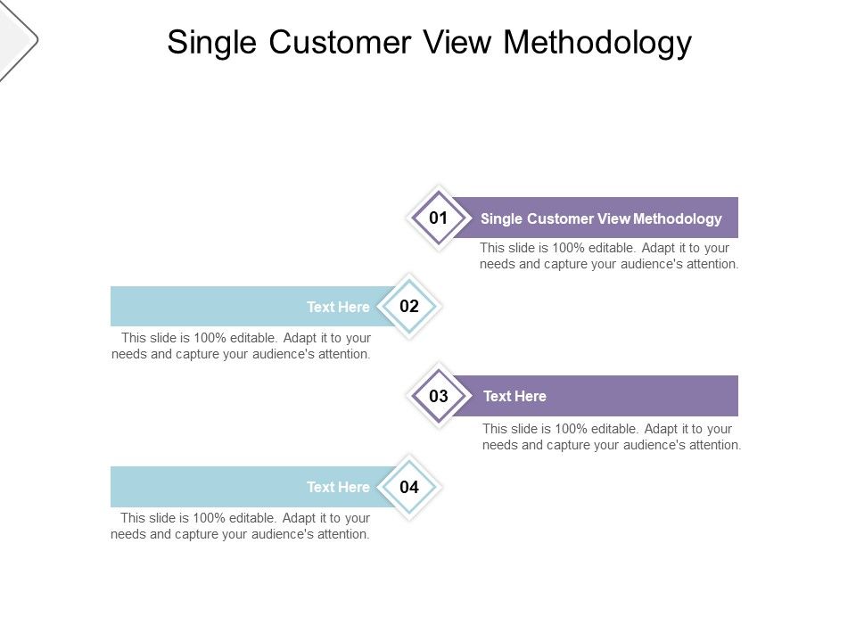 Single_Customer_View_Methodology_Ppt_PowerPoint_Presentation_Summary_Example_Cpb_Pdf_Slide_1.jpg