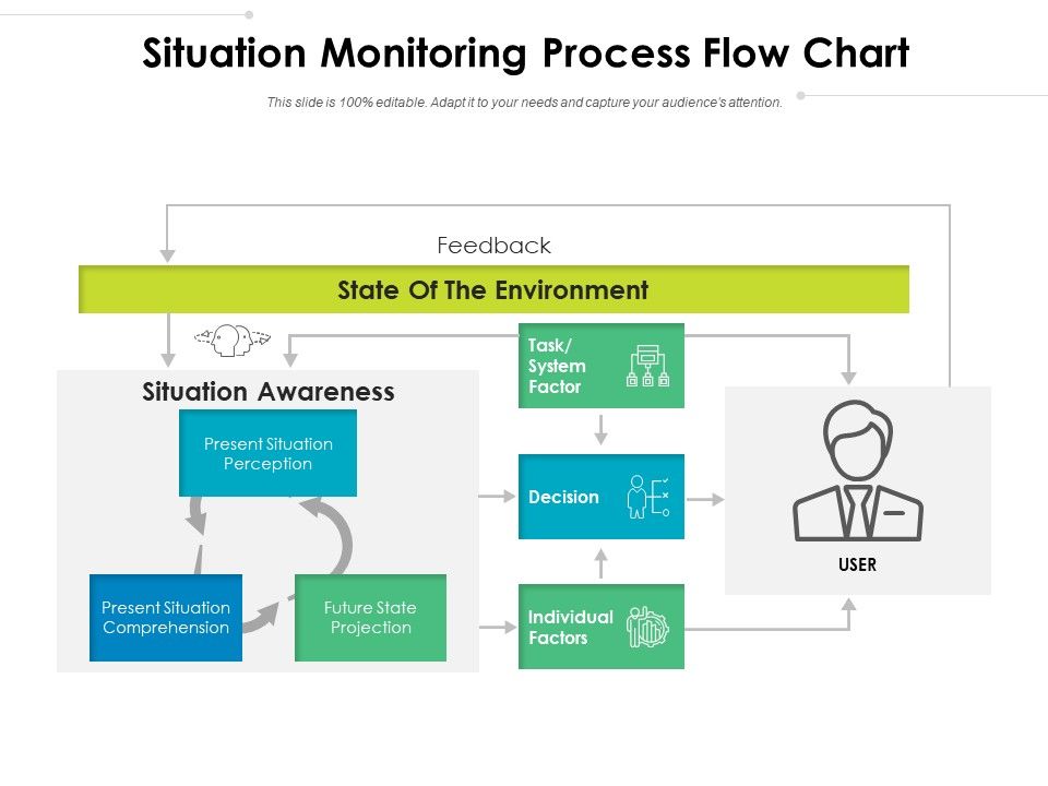 Situation_Monitoring_Process_Flow_Chart_Ppt_PowerPoint_Presentation_Pictures_Show_PDF_Slide_1.jpg