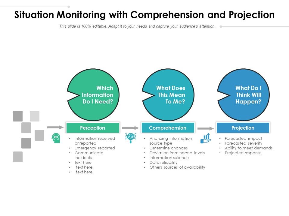 Situation_Monitoring_With_Comprehension_And_Projection_Ppt_PowerPoint_Presentation_Professional_Styles_PDF_Slide_1.jpg
