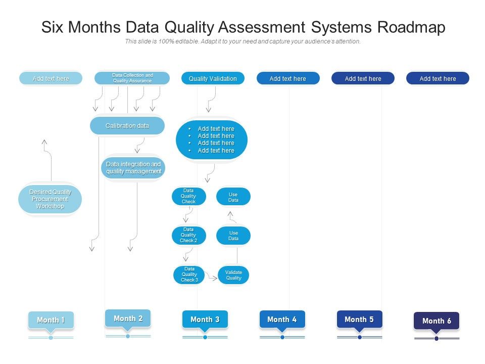Six_Months_Data_Quality_Assessment_Systems_Roadmap_Portrait_Slide_1.jpg