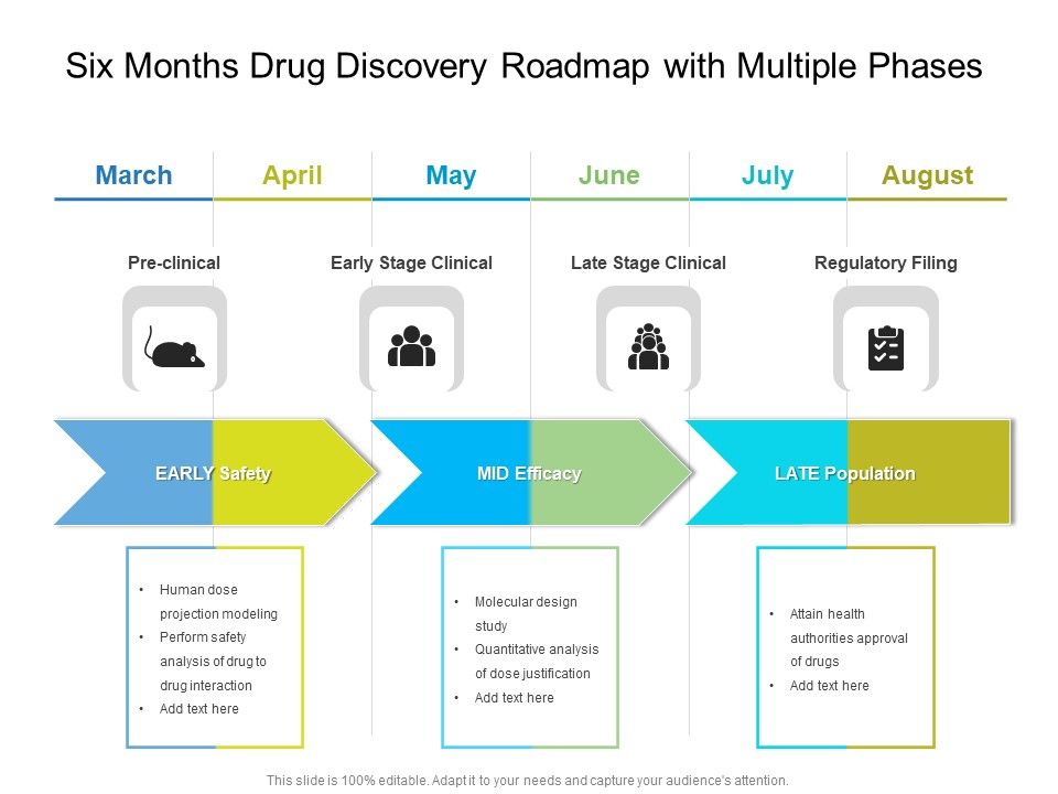 Six_Months_Drug_Discovery_Roadmap_With_Multiple_Phases_Professional_Slide_1.jpg