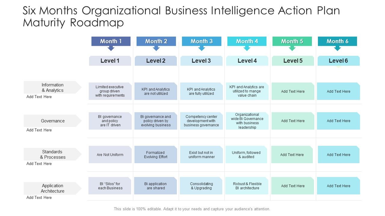 Six_Months_Organizational_Business_Intelligence_Action_Plan_Maturity_Roadmap_Summary_Slide_1.jpg