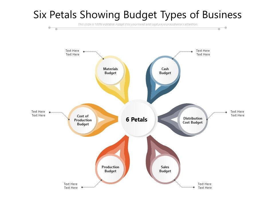 Six_Petals_Showing_Budget_Types_Of_Business_Ppt_PowerPoint_Presentation_Ideas_Graphics_PDF_Slide_1.jpg