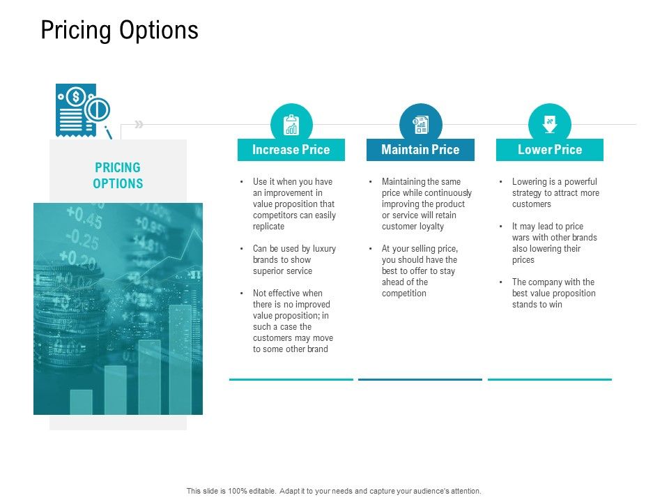 Smart_Software_Pricing_Strategies_Pricing_Options_Ppt_Portfolio_File_Formats_PDF_Slide_1.jpg
