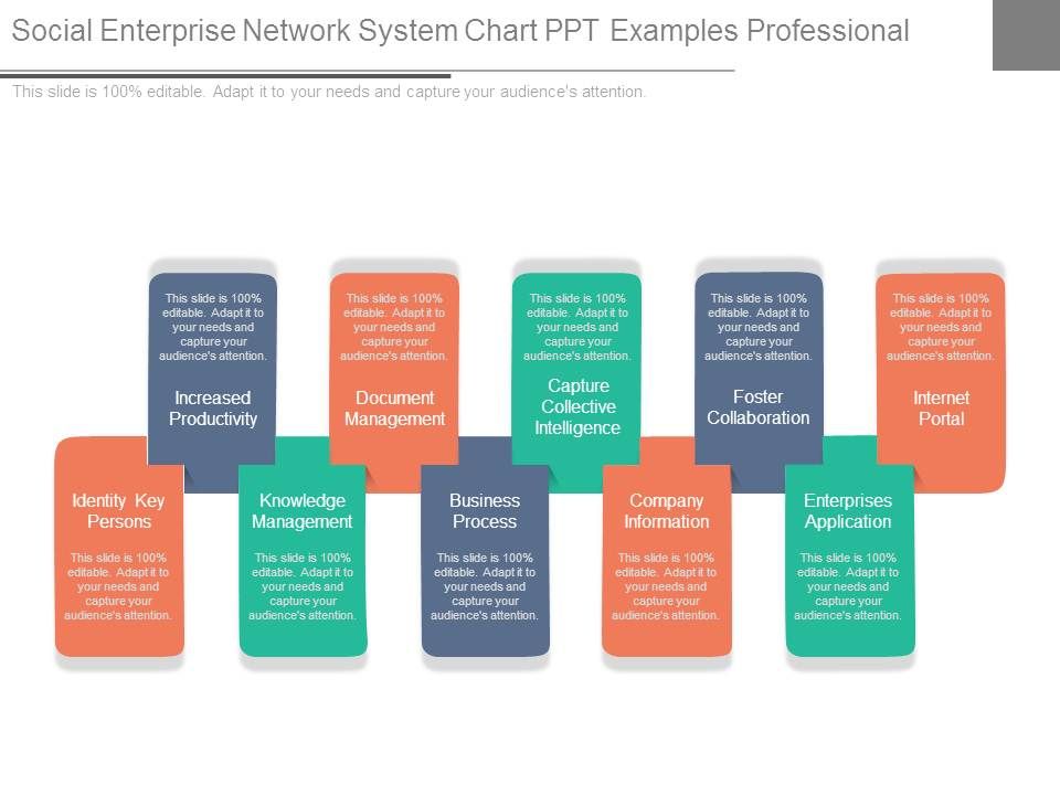 Social_Enterprise_Network_System_Chart_Ppt_Examples_Professional_1.jpg