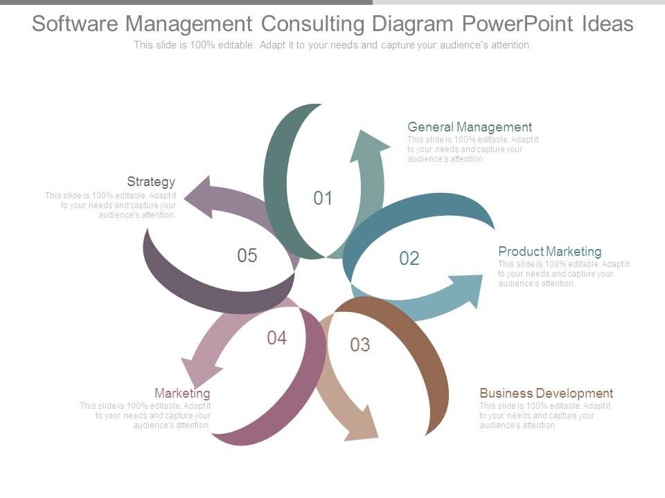 Software_Management_Consulting_Diagram_Powerpoint_Ideas_1.jpg