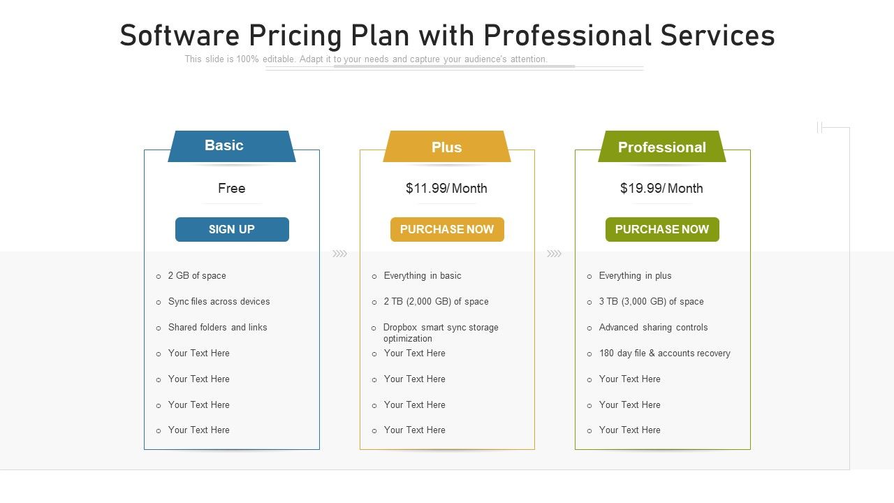 Software_Pricing_Plan_With_Professional_Services_Ppt_Infographic_Template_Introduction_PDF_Slide_1.jpg
