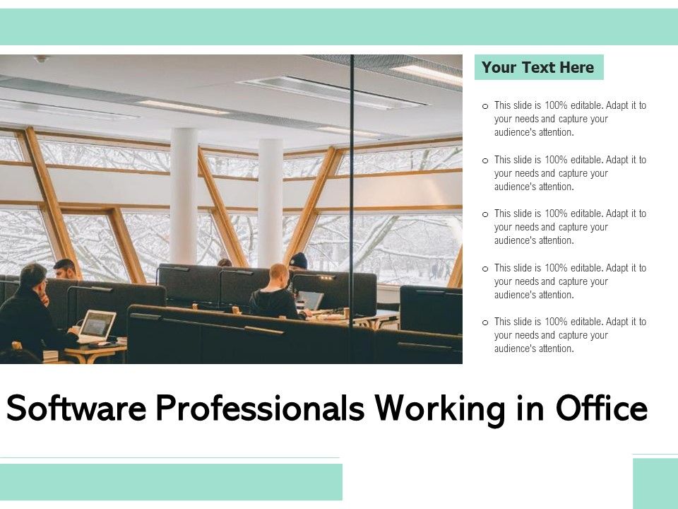 Software_Professionals_Working_In_Office_Ppt_PowerPoint_Presentation_Summary_Aids_PDF_Slide_1.jpg