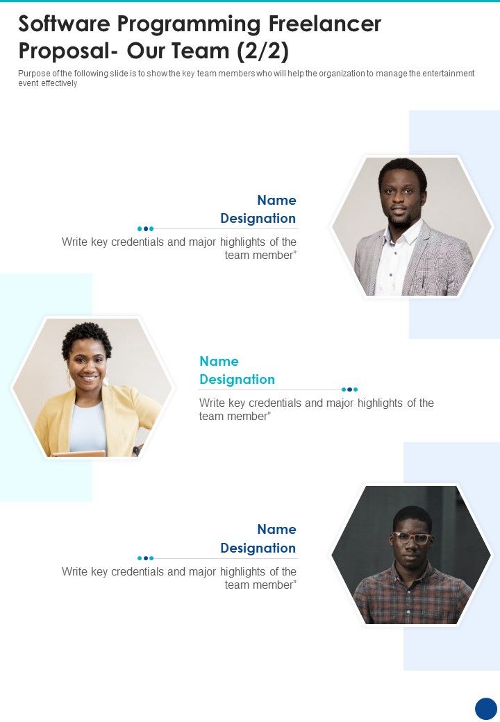 Software Programming Freelancer Proposal Our Team One Pager Sample Example Document