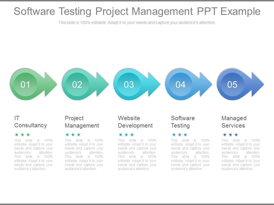 Software_Testing_Project_Management_Ppt_Example_1.jpg