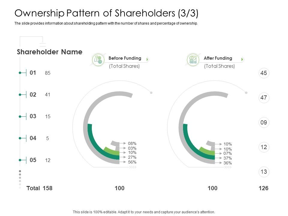 Solvency_Action_Plan_For_Private_Organization_Ownership_Pattern_Of_Shareholders_Funding_Themes_PDF_Slide_1.jpg