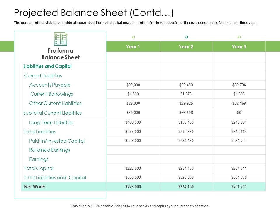 Solvency_Action_Plan_For_Private_Organization_Projected_Balance_Sheet_Contd_Graphics_PDF_Slide_1.jpg