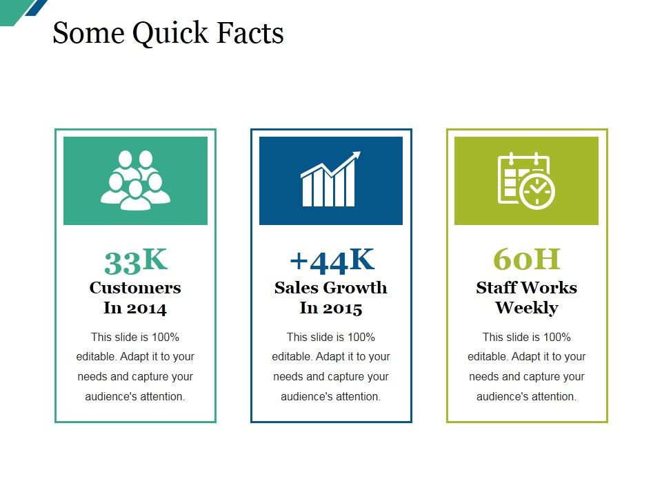 Some_Quick_Facts_Ppt_PowerPoint_Presentation_Summary_Example_Slide_1.jpg
