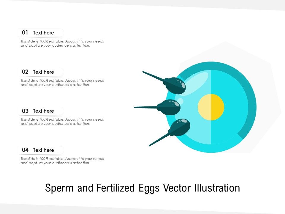 Sperm_And_Fertilized_Eggs_Vector_Illustration_Ppt_PowerPoint_Presentation_Gallery_Example_Topics_PDF_Slide_1.jpg