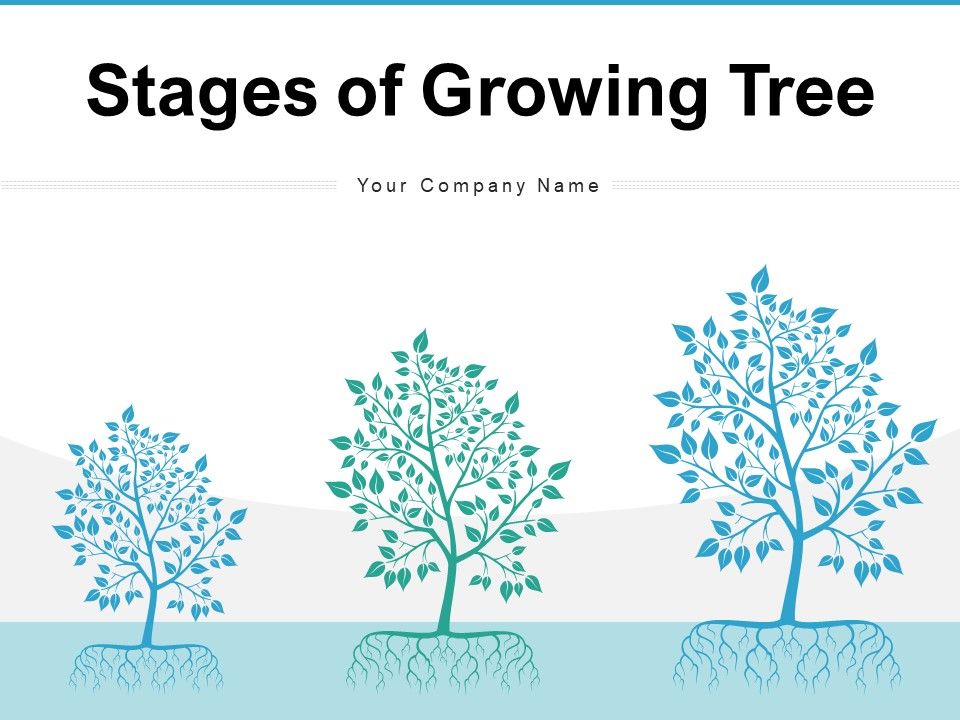 Stages_Of_Growing_Tree_Growth_Resources_Ppt_PowerPoint_Presentation_Complete_Deck_Slide_1.jpg