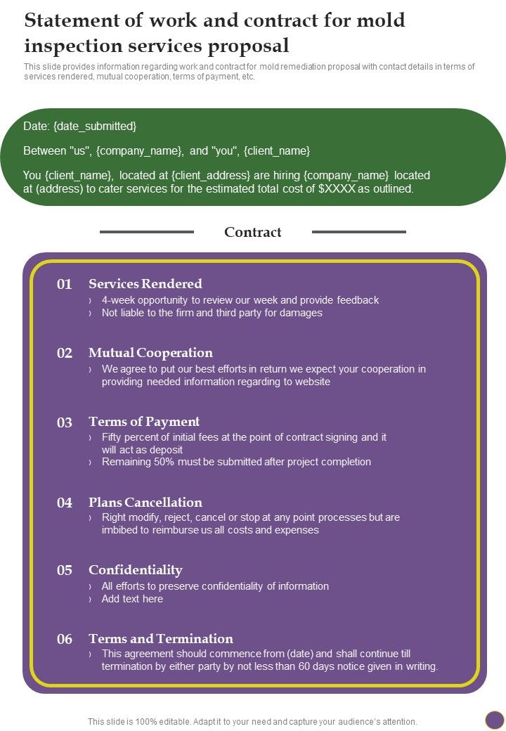 Statement_Of_Work_And_Contract_For_Mold_Inspection_Services_Proposal_One_Pager_Sample_Example_Document_Slide_1.jpg