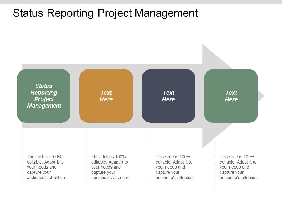 Status_Reporting_Project_Management_Ppt_PowerPoint_Presentation_Ideas_Themes_Cpb_Slide_1.jpg