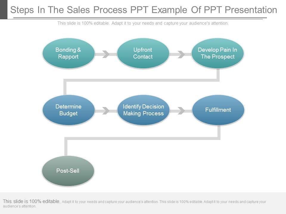 Steps_In_The_Sales_Process_Ppt_Example_Of_Ppt_Presentation_1.jpg