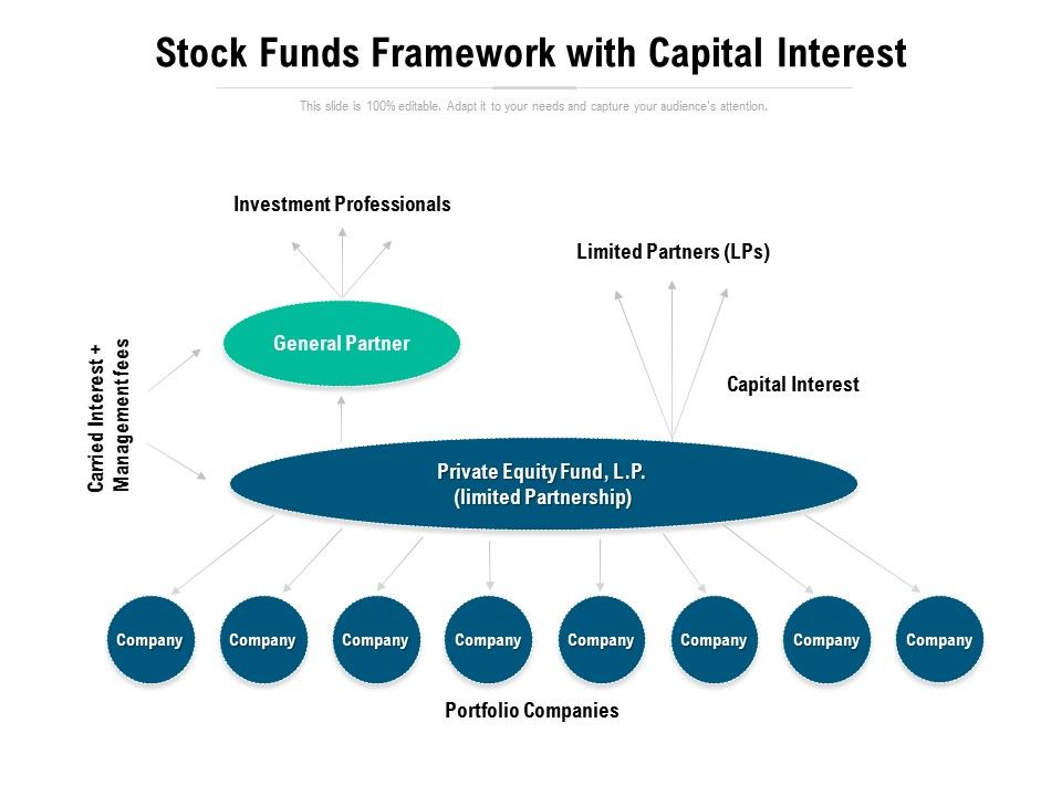 Stock_Funds_Framework_With_Capital_Interest_Ppt_PowerPoint_Presentation_Styles_Sample_Slide_1.jpg