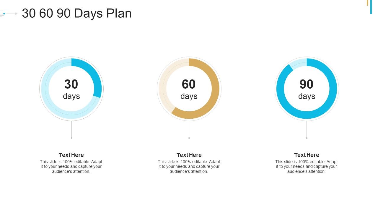 Stock_Offering_As_An_Exit_Alternative_30_60_90_Days_Plan_Ppt_Pictures_Portfolio_PDF_Slide_1.jpg
