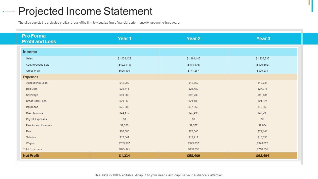 Stock_Offering_As_An_Exit_Alternative_Projected_Income_Statement_Pictures_PDF_Slide_1.jpg