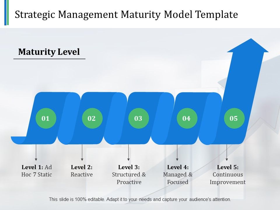 Strategic_Management_Maturity_Model_Template_Ppt_PowerPoint_Presentation_Portfolio_Templates_Slide_1.jpg