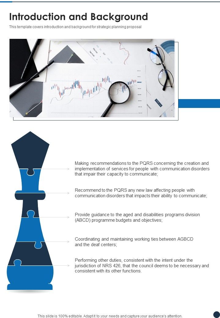 Strategic Plan Proposal Sample Introduction And Background One Pager Sample Example Document Slide01