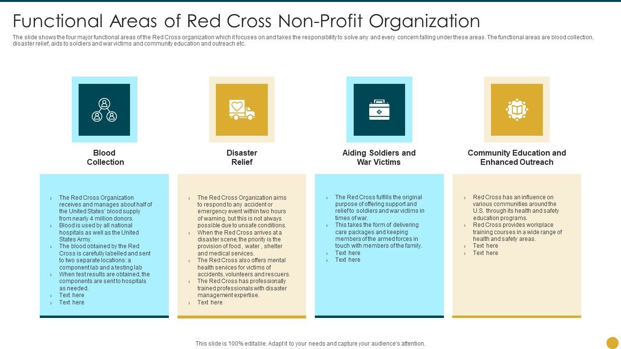 Strategic_Planning_Models_For_Non_Profit_Organizations_Functional_Organization_Elements_PDF_Slide_1.jpg