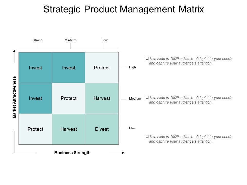 Strategic_Product_Management_Matrix_Ppt_PowerPoint_Presentation_File_Themes_Slide_1.jpg