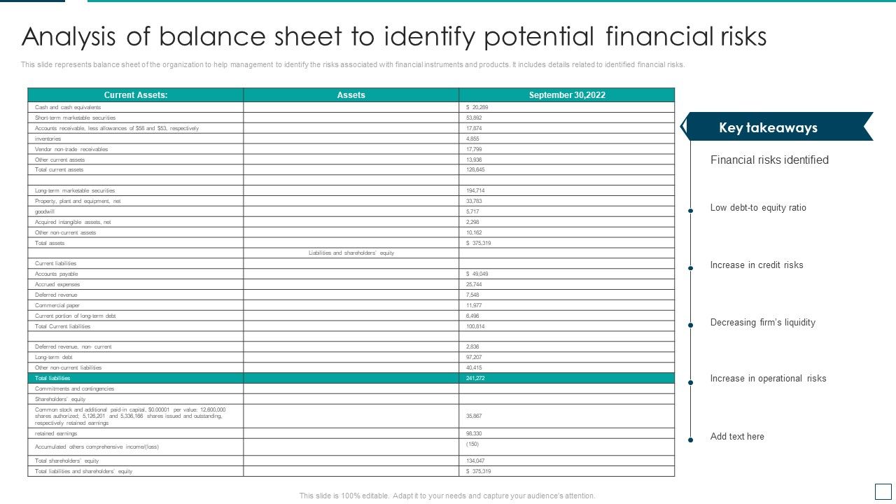 Strategic_Risk_Management_And_Mitigation_Plan_Analysis_Of_Balance_Sheet_To_Identify_Potential_Financial_Risks_Professional_PDF_Slide_1.jpg