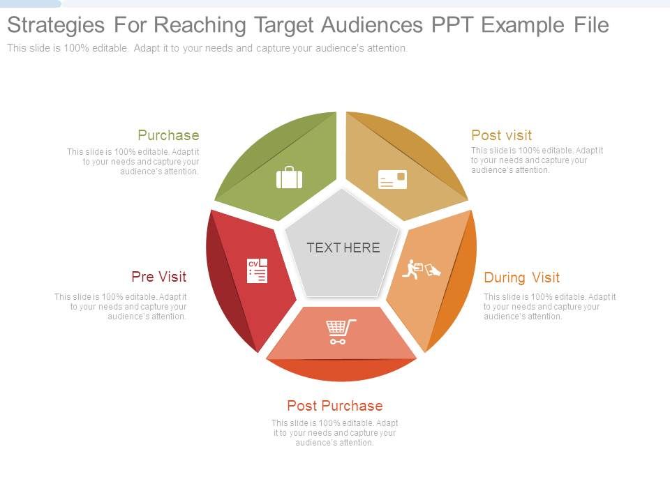 Strategies_For_Reaching_Target_Audiences_Ppt_Example_File_1.jpg