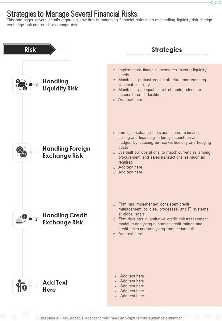 Strategies To Manage Several Financial Risks One Pager Documents Slide01