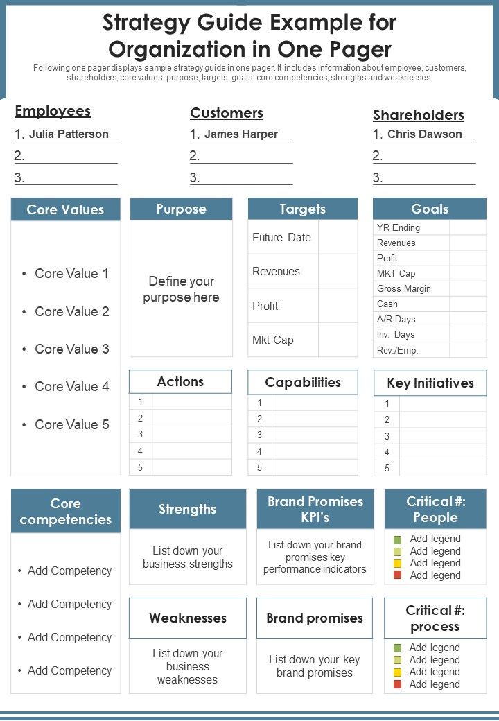 Strategy Guide Example For Organization In One Pager PDF Document PPT Template Slide01
