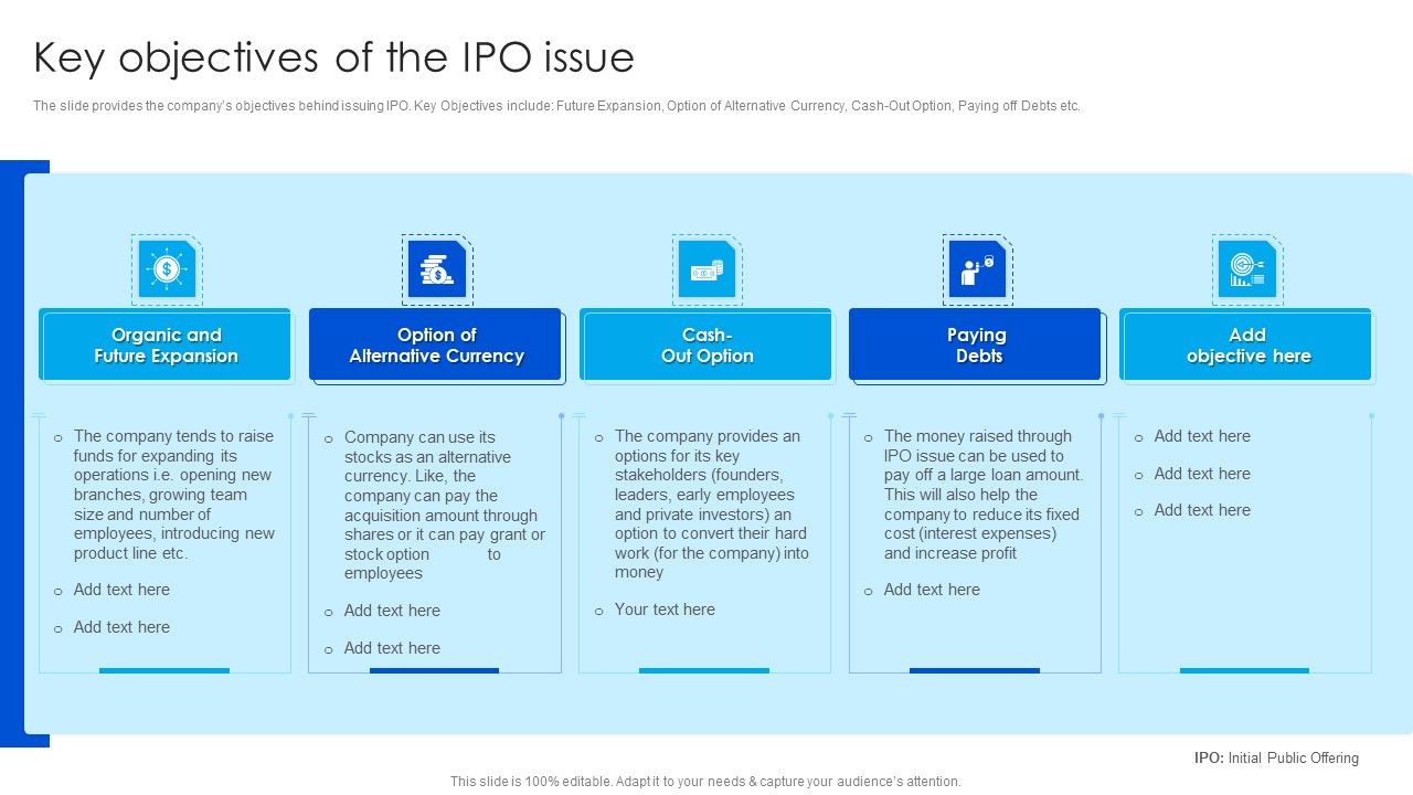 Strategy_To_Raise_Funds_Key_Objectives_Of_The_Ipo_Issue_Professional_PDF_Slide_1.jpg