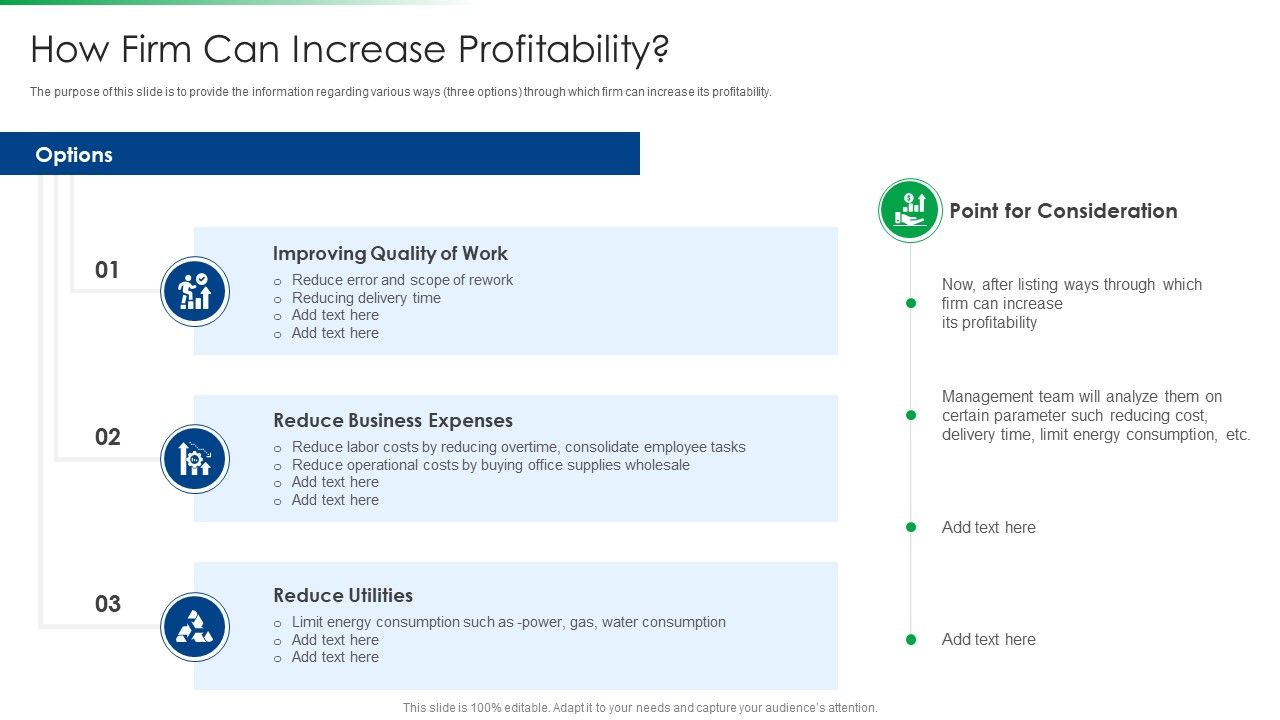 Strawman_Project_Action_Plan_How_Firm_Can_Increase_Profitability_Formats_PDF_Slide_1.jpg
