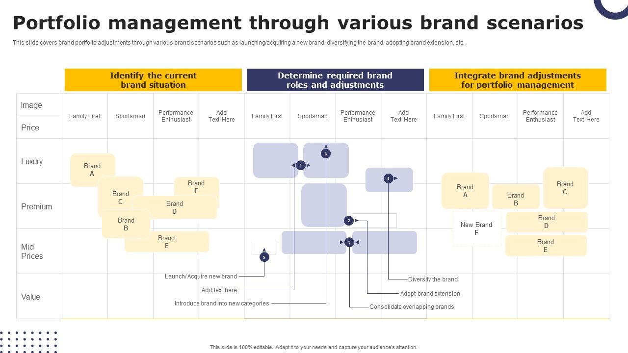 Streamlining_Brand_Portfolio_Technique_Portfolio_Management_Through_Various_Brand_Scenarios_Portrait_PDF_Slide_1.jpg