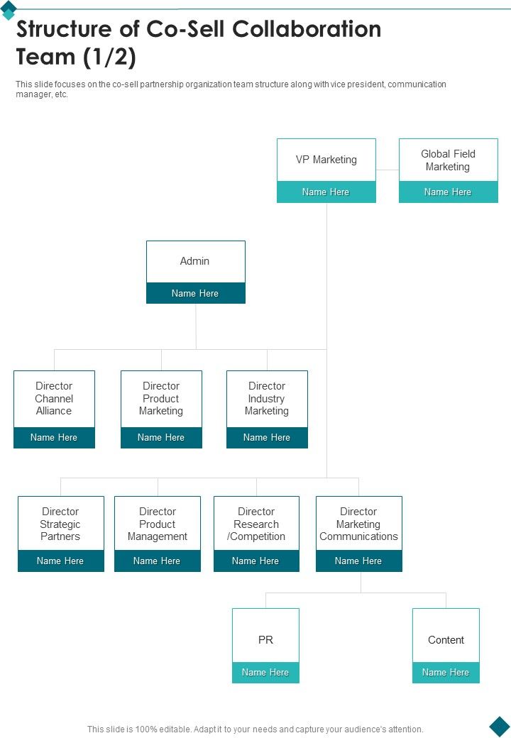 Structure_Of_Co_Sell_Collaboration_Team_One_Pager_Sample_Example_Document_Slide_1.jpg