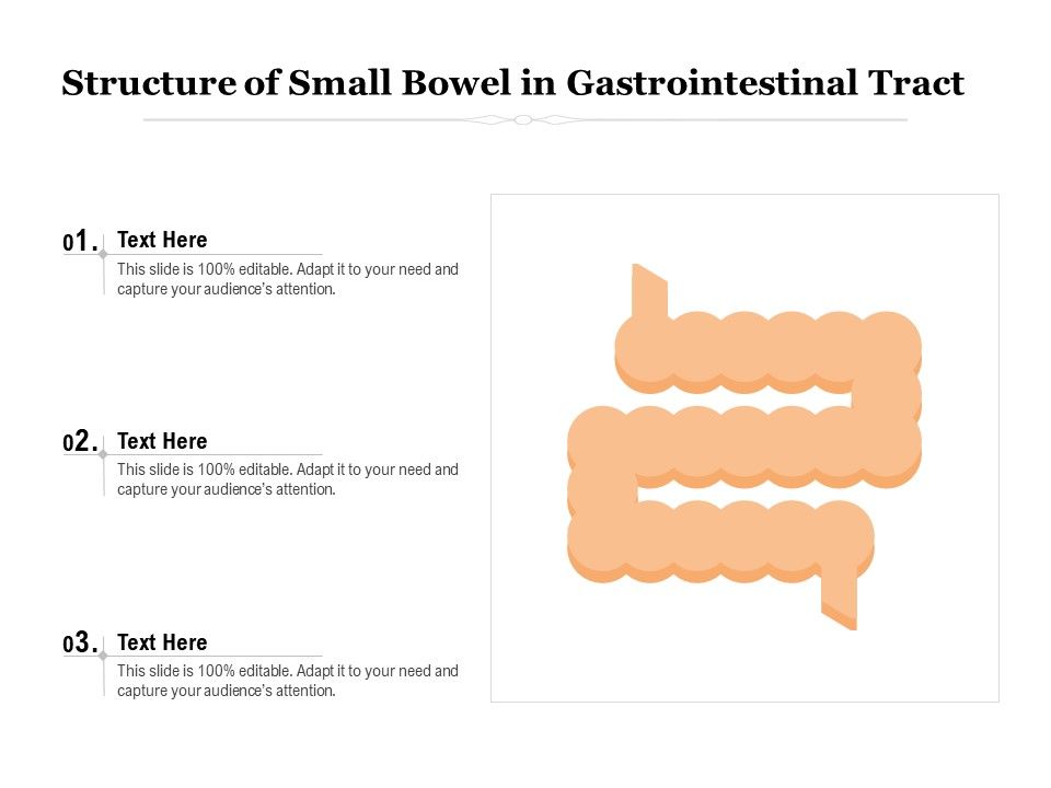 Structure_Of_Small_Bowel_In_Gastrointestinal_Tract_Ppt_PowerPoint_Presentation_Slides_PDF_Slide_1.jpg