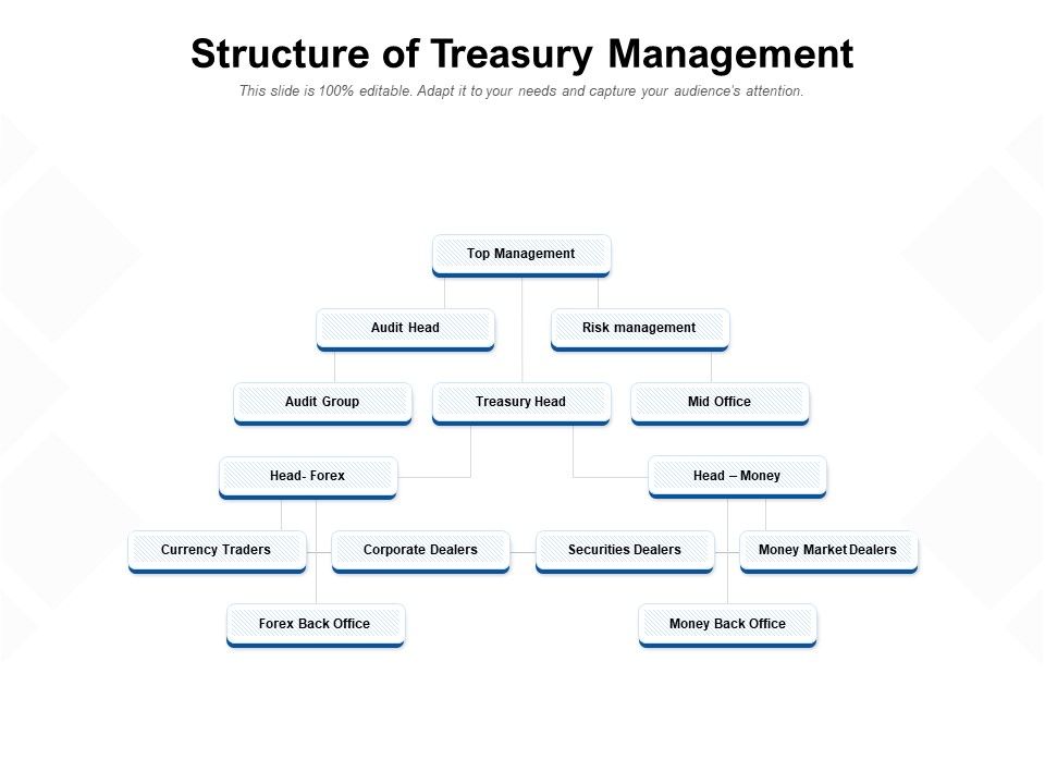 Structure_Of_Treasury_Management_Ppt_PowerPoint_Presentation_Summary_Slide_Download_Slide_1.jpg