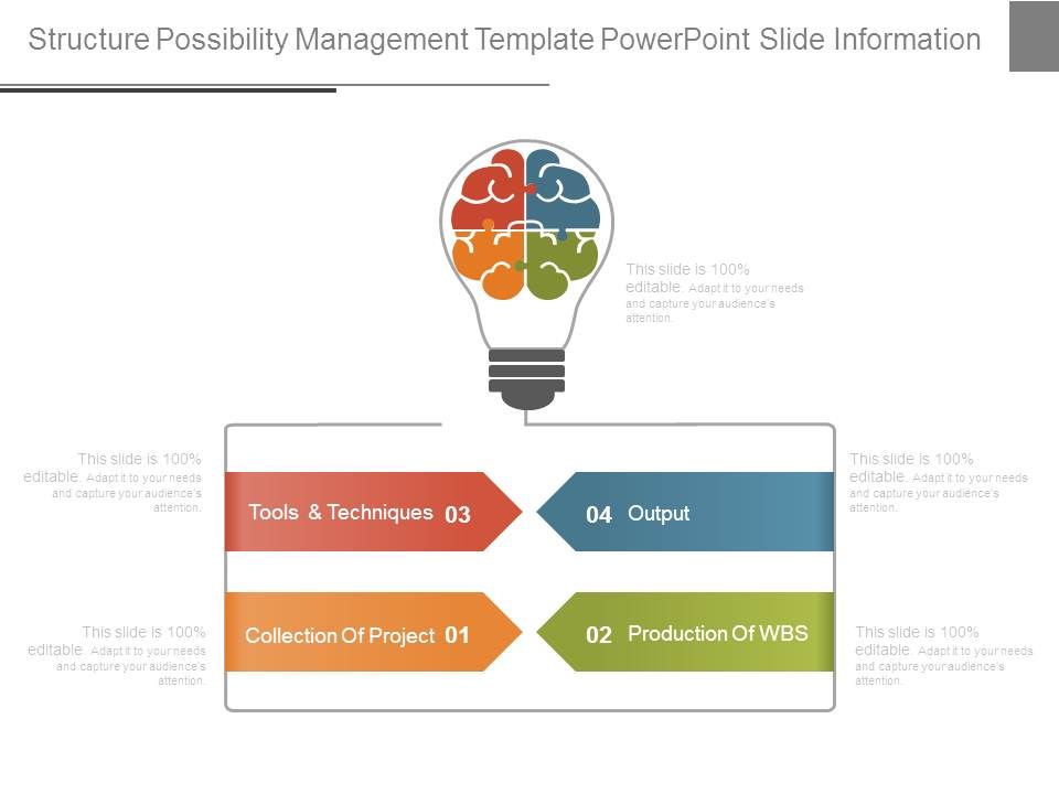 Structure_Possibility_Management_Template_Powerpoint_Slide_Information_1.jpg