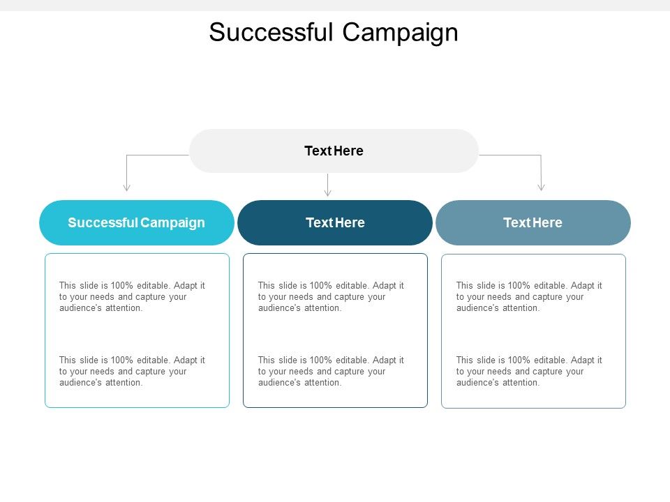 Successful_Campaign_Ppt_PowerPoint_Presentation_Infographic_Template_Picture_Cpb_Slide_1.jpg
