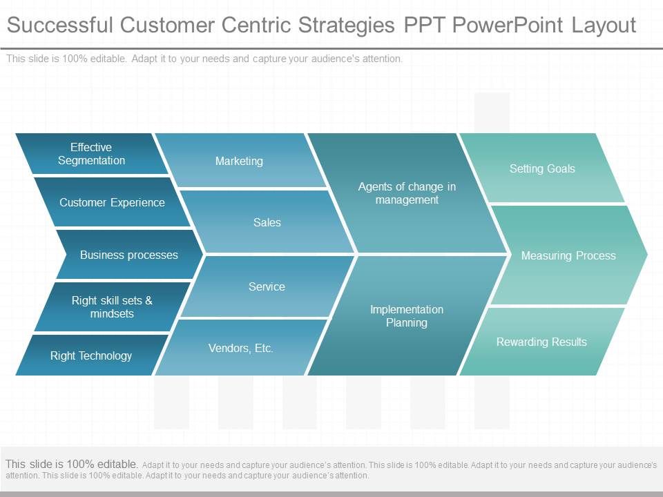 Successful_Customer_Centric_Strategies_Ppt_Powerpoint_Layout_1.jpg