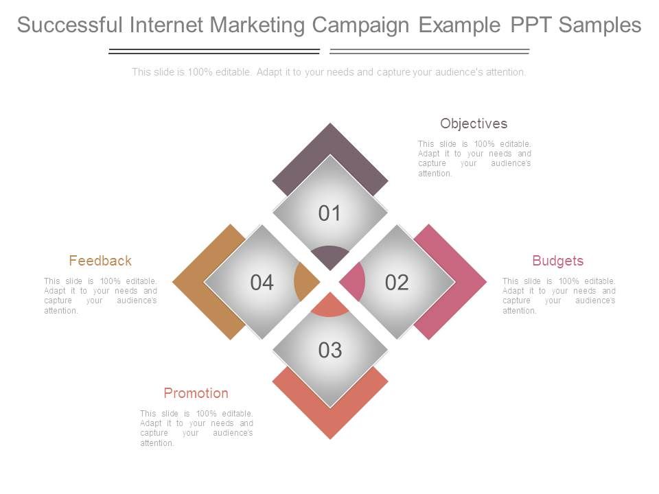 Successful_Internet_Marketing_Campaign_Example_Ppt_Samples_1.jpg